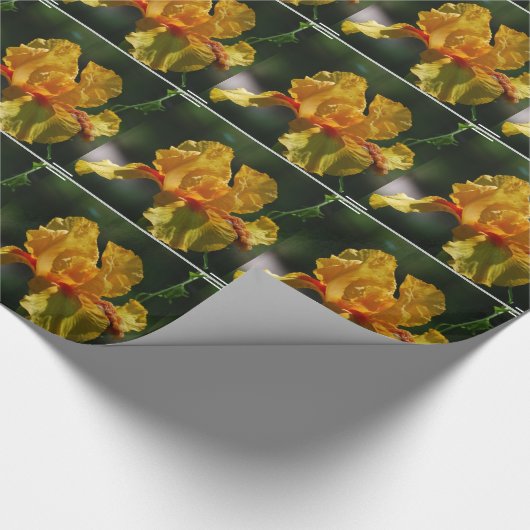 Iris Flowers Cadeaupapier (Hoek)