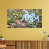 Iris Flowers Canvas Afdruk (Insitu (Woonkamer))