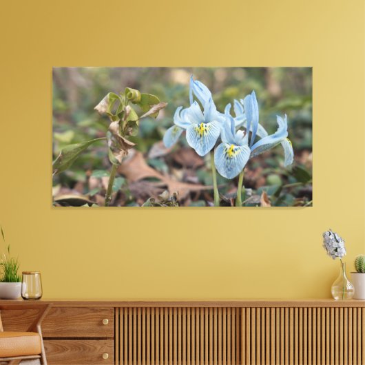 Iris Flowers Canvas Afdruk (Insitu (Woonkamer))
