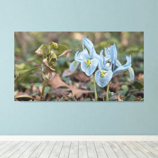 Iris Flowers Canvas Afdruk (Insitu (Houten vloer))