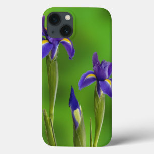 Iris Flowers iPhone 13 Hoesje