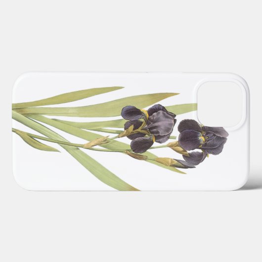 Iris Flowers Case-Mate iPhone Case (Achterkant (horizontaal))