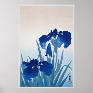  Iris Flowers Illustratie Poster