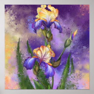 Iris Flowers Paarse Irises Poster schilderen