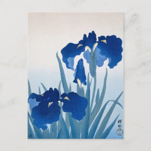Iris Flowers Painting by Ohara Koson Briefkaart