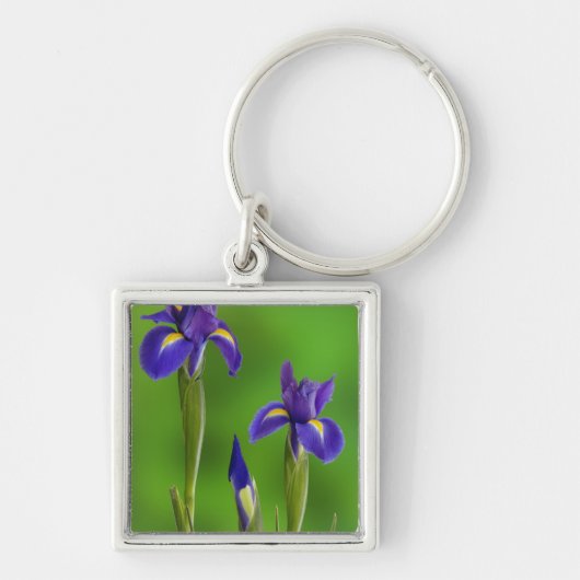 Iris Flowers Sleutelhanger (Voorkant)