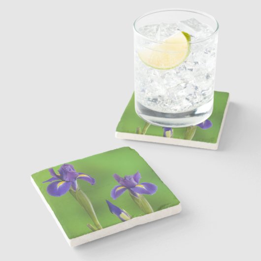 Iris Flowers Stenen Onderzetter (Zijkant)