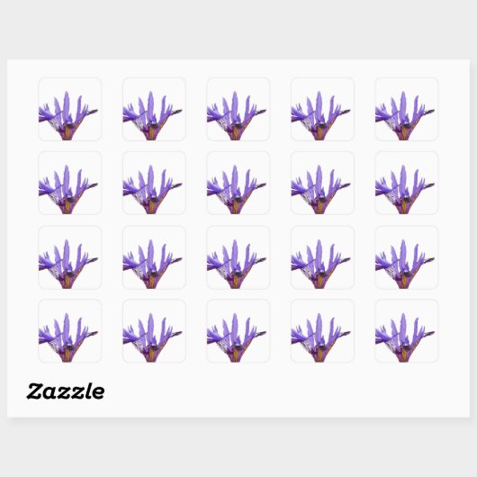 Iris Flowers Sticker (Vel)