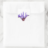 Iris Flowers Sticker (Tas)