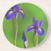 Iris Flowers Zandsteen Onderzetter (Voorkant)