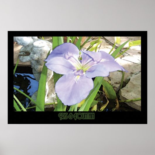 "Iris & fontain" — Afdrukken (geen schaduw) Poster (Voorkant)