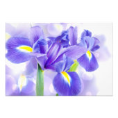 Iris Foto Afdruk (Voorkant)