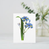 Iris Frangee door Joseph Pierre Redoute Briefkaart (Staand voorkant)