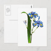 Iris Frangee door Joseph Pierre Redoute Briefkaart (Voorkant / Achterkant)