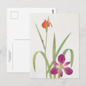 Iris Fulva en Iris Fulvala door William Dykes Briefkaart (Voorkant / Achterkant)