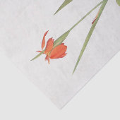 Iris Fulva en Iris Fulvala door William Dykes Tissuepapier (Detail)