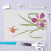 Iris Fulva en Iris Fulvala door William Dykes Tissuepapier (Craft)