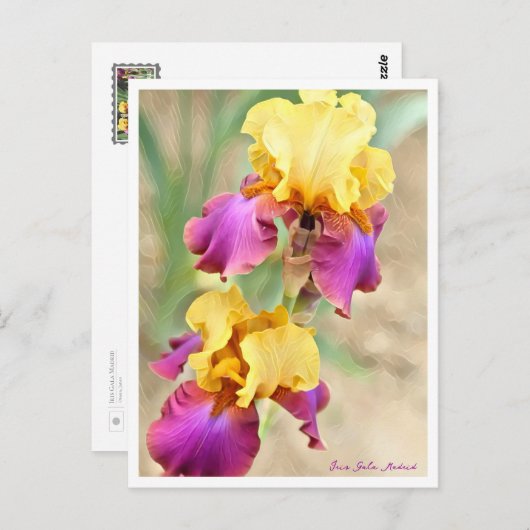 Iris Gala Madrid Briefkaart (Voorkant / Achterkant)