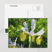 Iris Garden Briefkaart (Voorkant / Achterkant)
