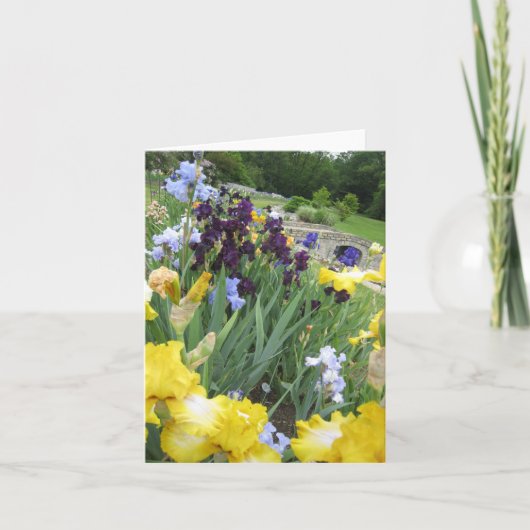 Iris Garden Kleine Blank Note Kaart (Voorkant)