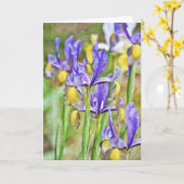 Iris Garden Note Kaart (Gele Bloem)
