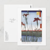 Iris Garden Postcard Briefkaart (Voorkant / Achterkant)