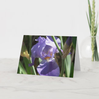 Iris Garden Wenskaart Kaart