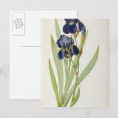 Iris Germanica uit "Les Liliacees", 1805 Briefkaart (Voorkant / Achterkant)