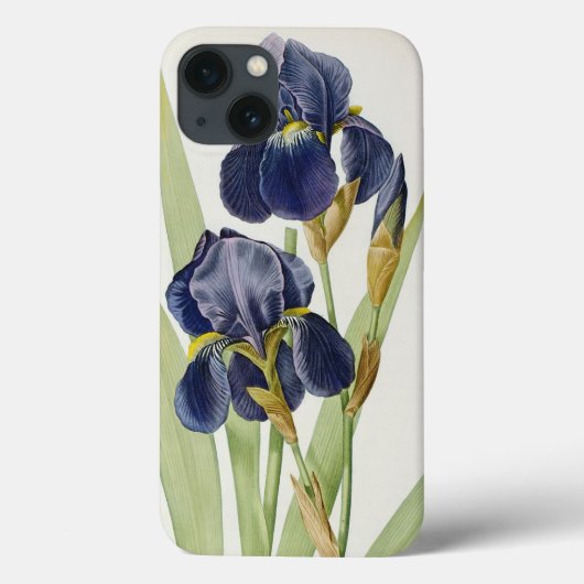 Iris Germanica uit "Les Liliacees", 1805 Case-Mate iPhone Case (Achterkant)