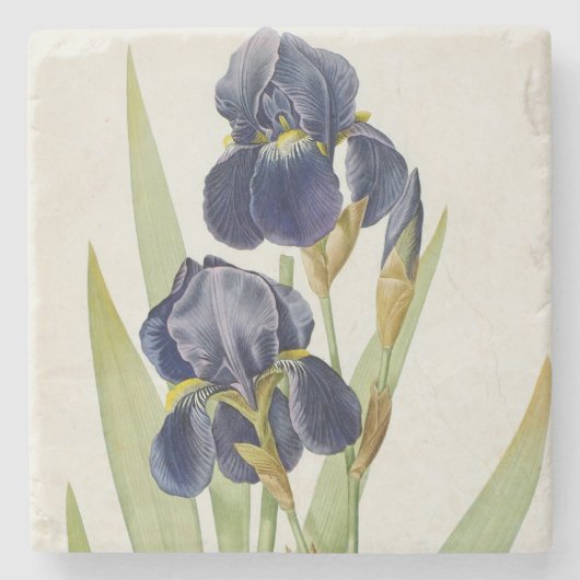 Iris Germanica uit "Les Liliacees", 1805 Stenen Onderzetter (Voorkant)