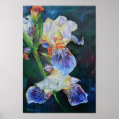 Iris I Poster (Voorkant)