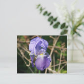 Iris in Bloom Briefkaart (Staand voorkant)