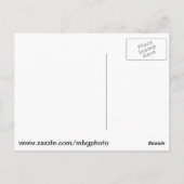 Iris in de botanische tuin van Missouri Briefkaart (Achterkant)