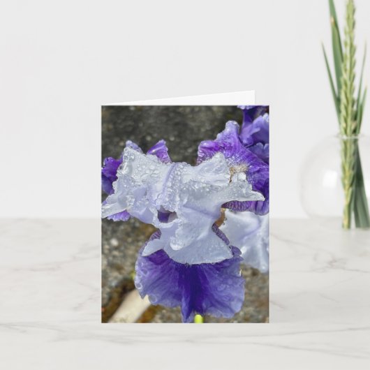 Iris in de dauw bedankkaart (Voorkant)