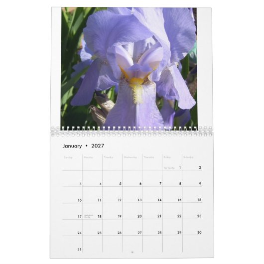 Iris in de tuin kalender (Jan 2027)