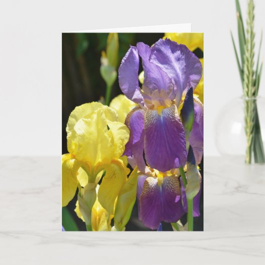Iris in het voorjaar kaart (Voorkant)