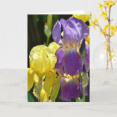 Iris in het voorjaar kaart (Gele Bloem)
