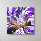 Iris in Violet Lila en Paarse botanische kunst Canvas Afdruk (Voorkant)