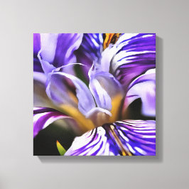 Iris in Violet Lila en Paarse botanische kunst Canvas Afdruk