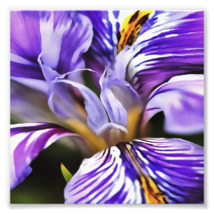 Iris in Violet Lila en Paarse botanische kunst Foto Afdruk