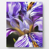 Iris in Violet Lila en Paarse botanische kunst Fotoplaat (Voorkant)