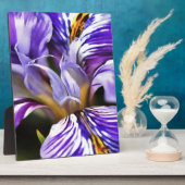 Iris in Violet Lila en Paarse botanische kunst Fotoplaat (Zijkant)