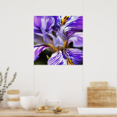 Iris in Violet Lila en Paarse botanische kunst Poster (Keuken)