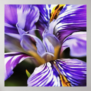 Iris in Violet Lila en Paarse botanische kunst Poster