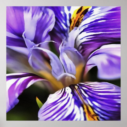 Iris in Violet Lila en Paarse botanische kunst Poster (Voorkant)