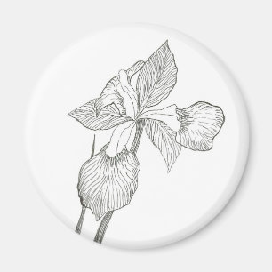 Iris inkt magneet
