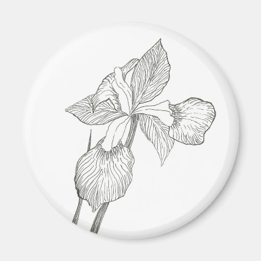 Iris inkt magneet (Voorkant)