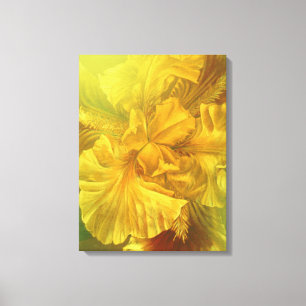 Iris inwendige schoonheid, warm geel tekencanvas a canvas afdruk