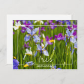 Iris | Iridaceae Velden van bloemen Aangepaste fot Briefkaart (Voorkant / Achterkant)