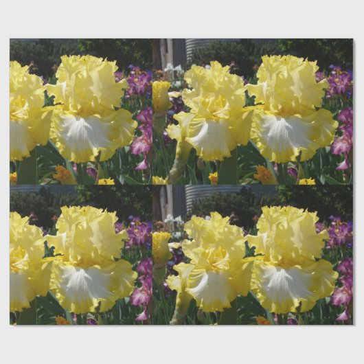 Iris iris bloemen Geel Witte bloemperen Cadeaupapier (Vlak)